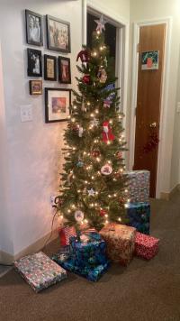 Wrapped gifts from FOCA under a seminary family's tree