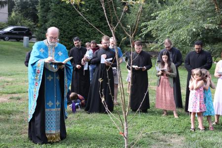 The blessing of a new tree